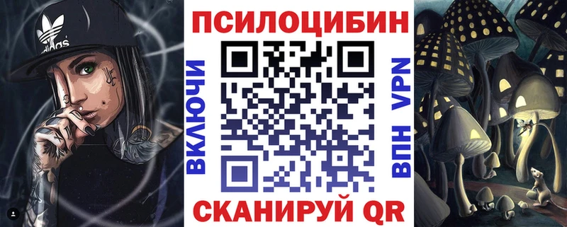 Купить закладки  Дмитровск  Псилоцибиновые грибы Psilocybine cubensis 